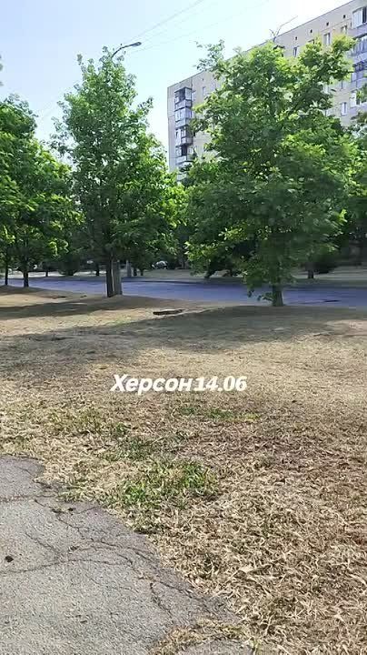 ������, 15/06/2025 ����. ���� ���� �����, ��������� � �������� �� ����