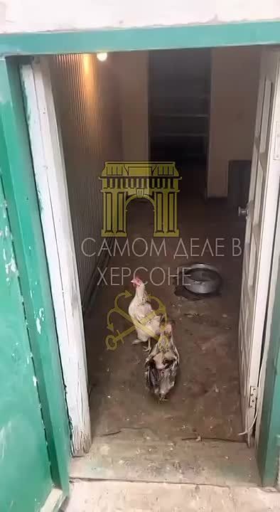 � �������, � ������ ������ ������ ���������� �������� � ������� �����������