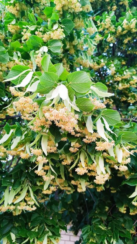 ������� ����, �����������, �������� ����������� ����!