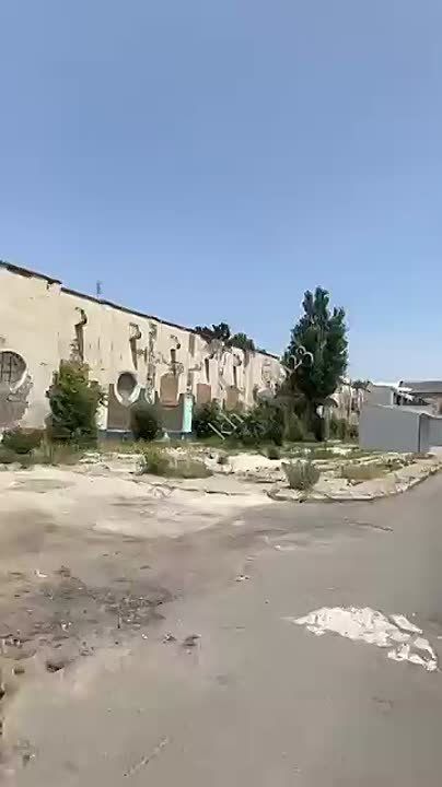 ������, ����� "��������", ��. ����� ������, ���� 2025