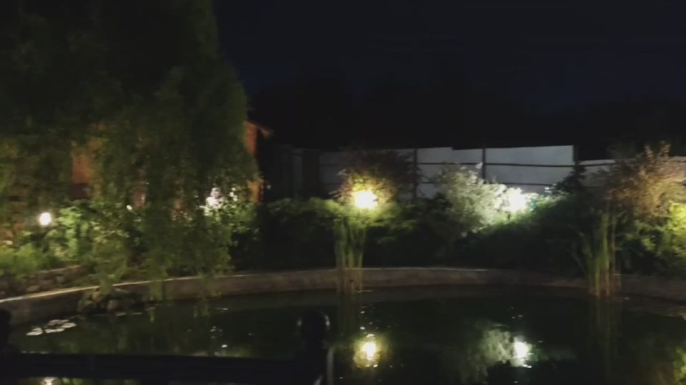 ������� ���������: ��������� ������������. ����� �� ������� ����������� ���� � ������������ �����