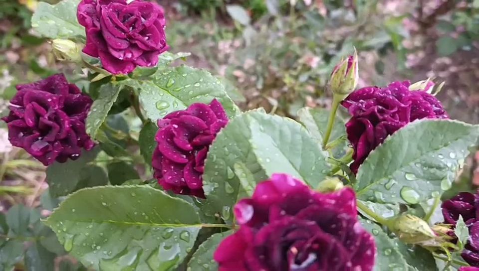 ������ ����, ������ ���������� ������!