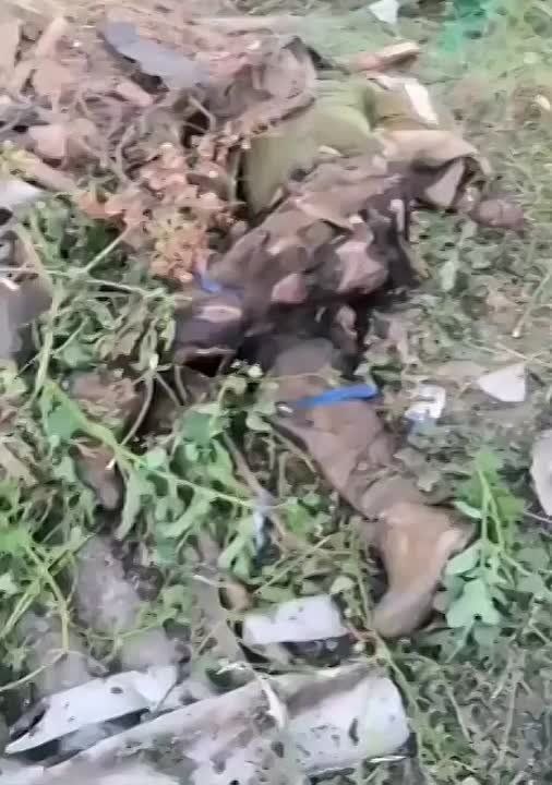 ������ �yk� �� ��������.. ��������-����� ���������� �������