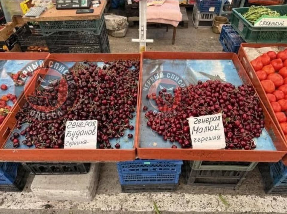 ����� ������������� ���� ������� �������� ������ � �������� ������� � �������� �����