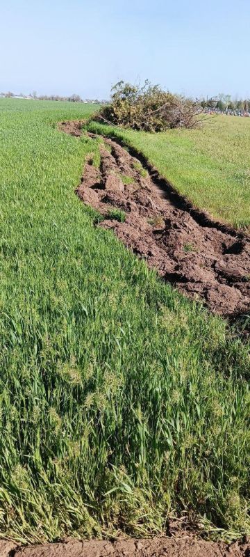 ��� ����������� �������� ������������ � ��������� ��������� ��������������� ���������������� ������