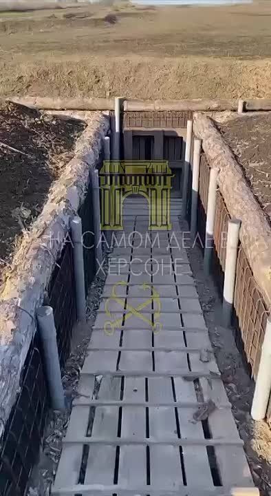 ��������� �������������� ���������� ���������� ����� � ������ ��� ����������� ������ ������� � ������� Telegram-�������