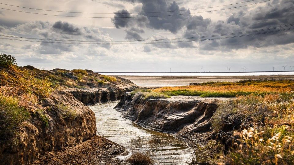 �������� ������: ���������� � ��� ���. ��� ������� ������� ������� � �������: ���������� �����, ����� ����, ������, ������� � ������� ������