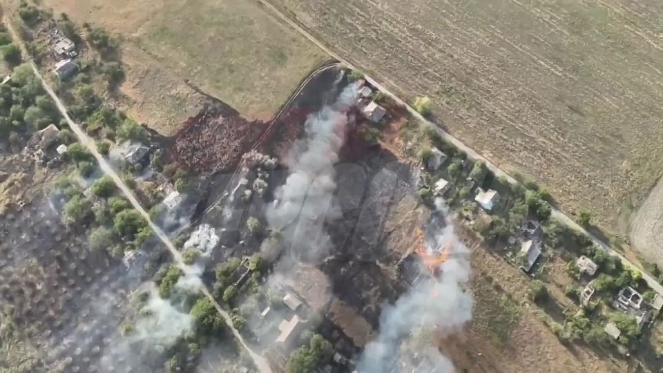 �����������, �������������� �� ������ ������ ������, � ����� ��������!