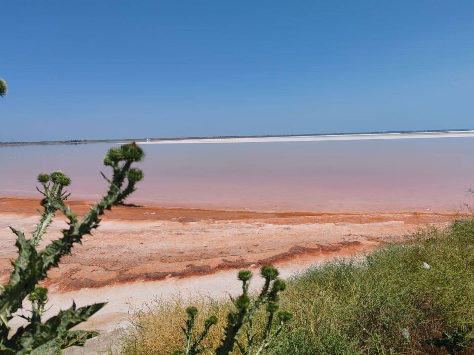 ����� ����������: ������� ����� ���������� - �� ������ �������������� ������� ����������� �������, �� � ������������ ��������������� ������.