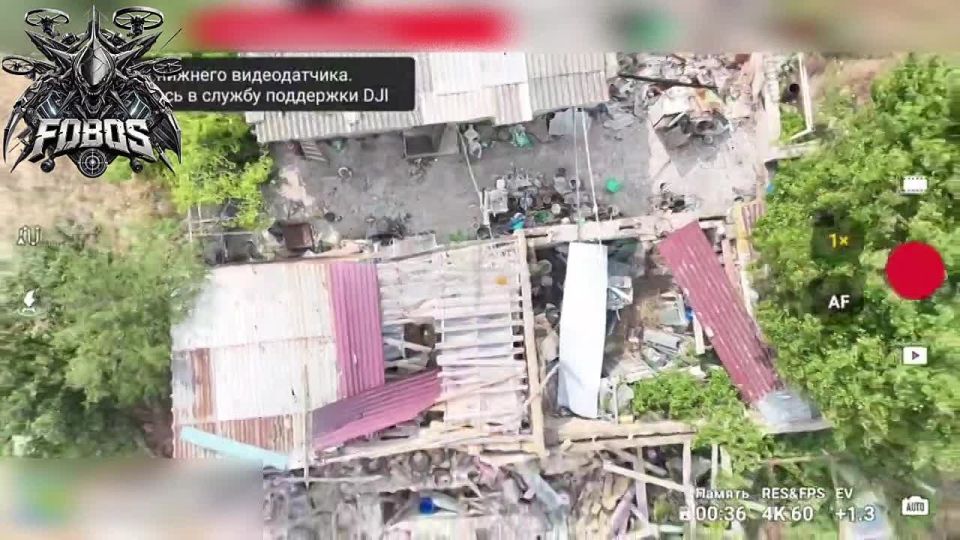 ���������� �����������. ������������ ������� ������������ � ������������� ������ ����� �������� � ���������������� ����������� �������������� ���, ���� �� ������ �� ����� � ��� �� ������� ��������� � ��������� ������ ������...