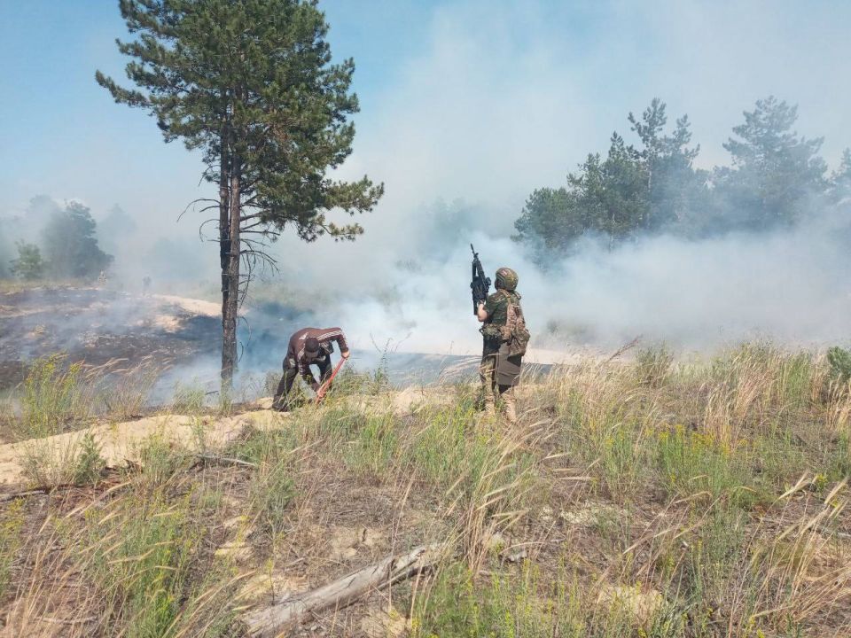 � ��������������� ������� � ���� ������������� 15 ������ ������� ����� �������� 73 �������