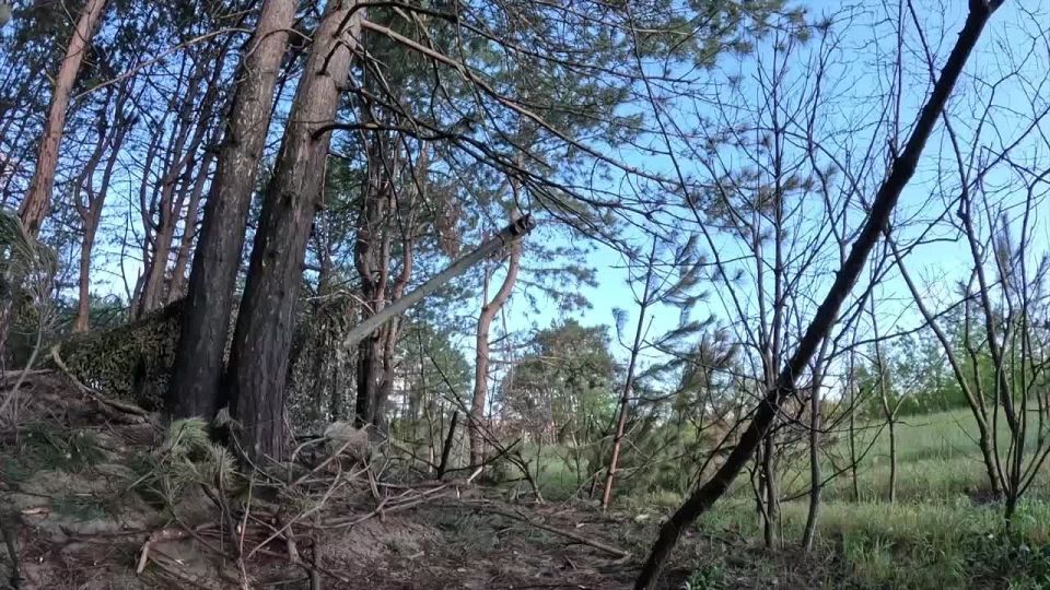 �������� ������: ������� �����-�� ���������� ����� ���������� ���������� ������� �� ������ ������ ������