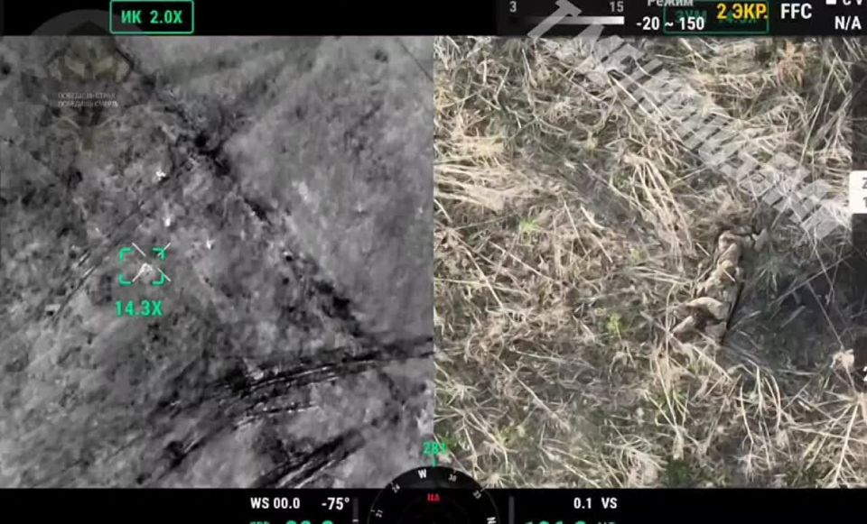 ������� ��������� ������ 225 ���