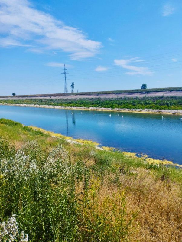 ������ ���� ����!. ������� ����������, ����������� �������� ������! ���������� ���� ����������! sd_kakhovka@khogov.ru