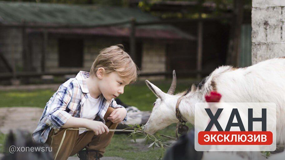 � ����������� ������ ������������������ ����� 700 �����������