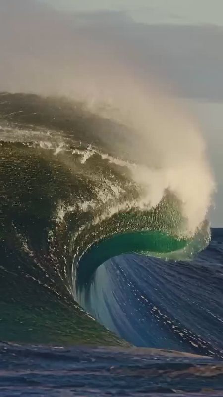 �������� ����������