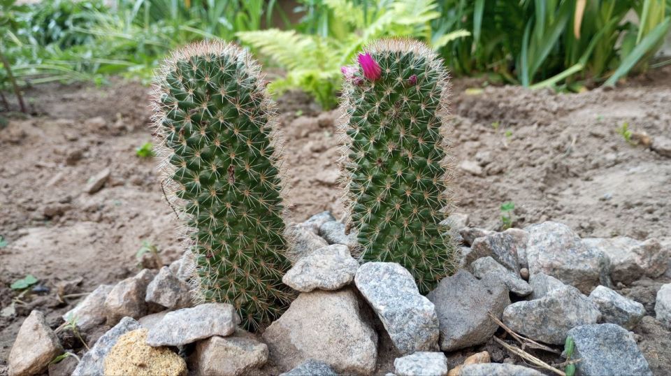 ������� ����, ������� ��� � �������� ����������, �����������!