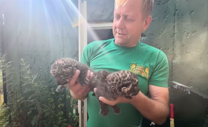 � �������� �������� ��� ������-�������� �� ���� �� ���������