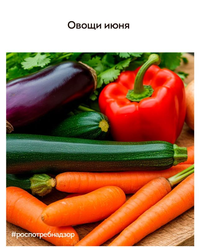 ����� ����� ���� � ����?. ���������� ����� ������, ������� �� ������ ������������ ����������, �� � ����������