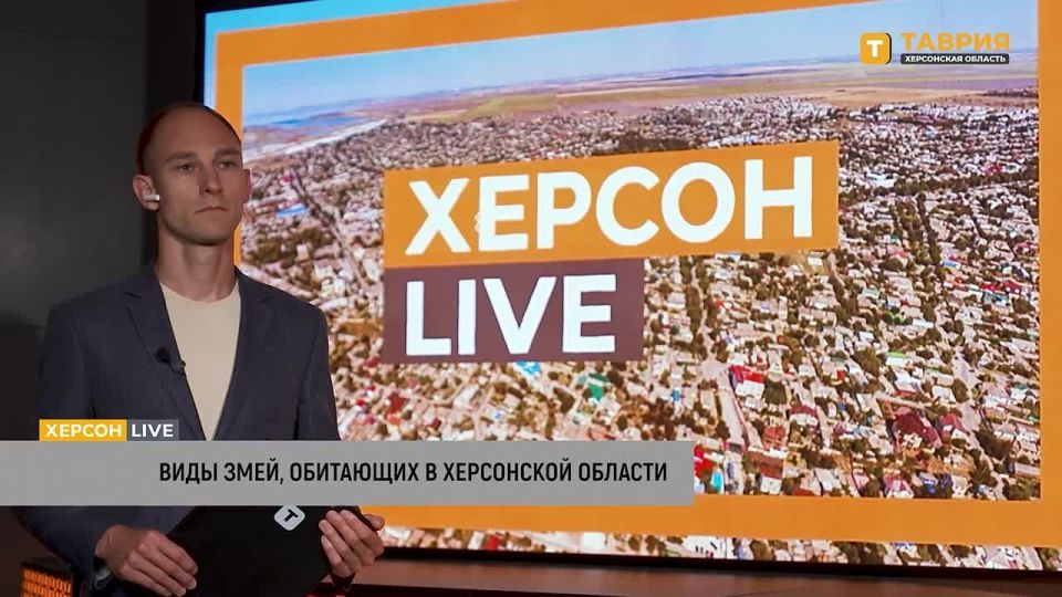 � ���������� ������� ���������������� ��������� ������ ������ ����, �������� ������� ���������