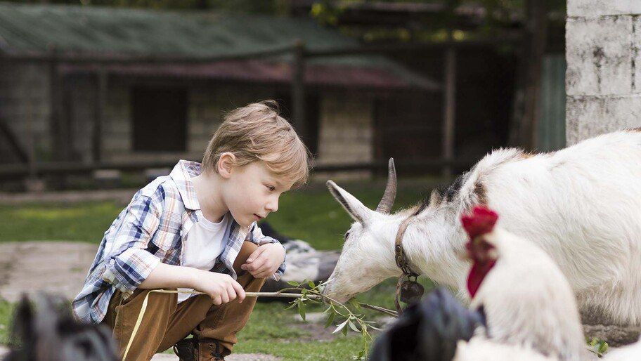 � ����������� ������ ������������������ ����� 700 �����������