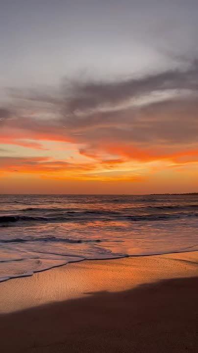 ������ ������ ����, ���� ������ ����