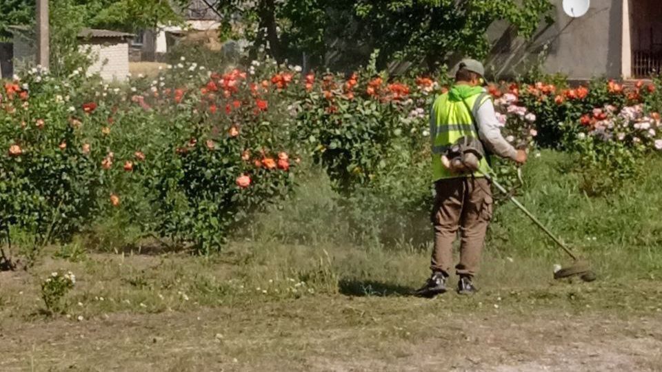 ������� ������� � �������������