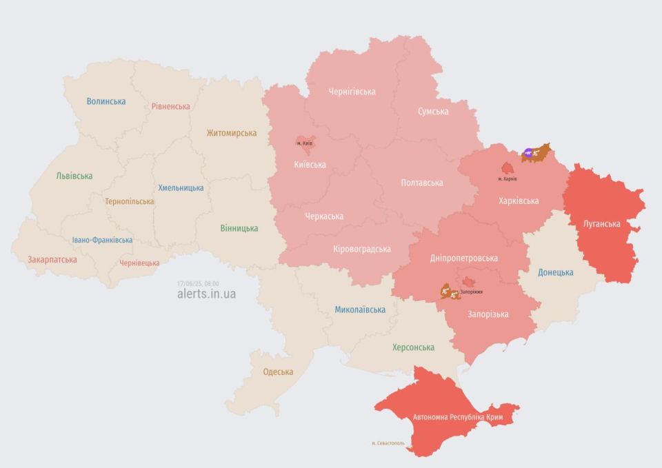 ���� ������� �������� �������