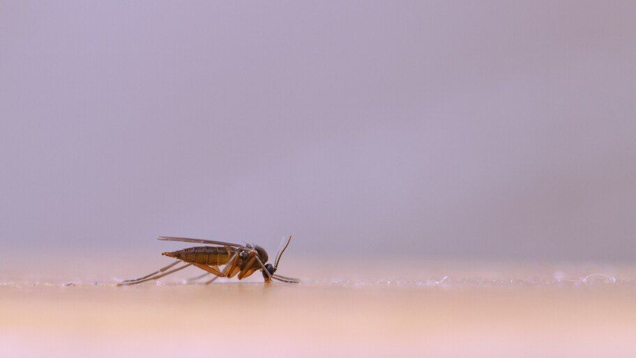 ������ ������ ������ ������ ���? ���� �������� ����������� �������