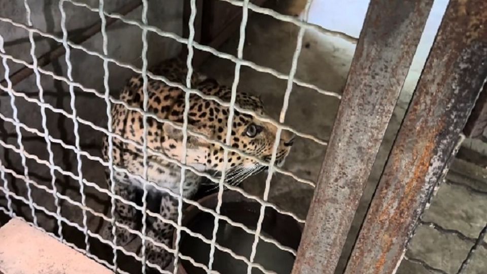 ���������� ����� � ��� ����� ��������: � �������� ���� ��������� ���������� ���� ��������� �� ���������