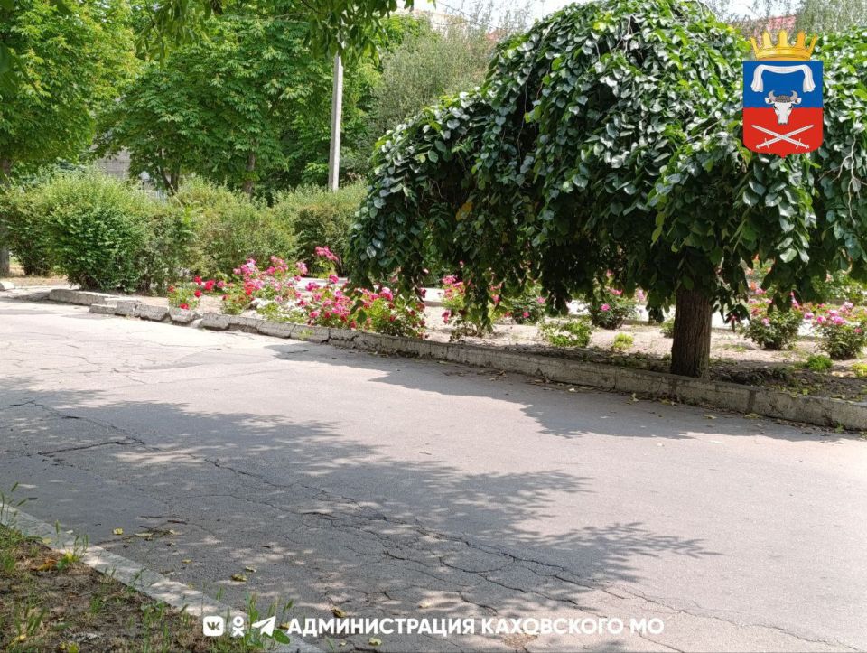 ������ ����, ������ ���������� �������������� ������!