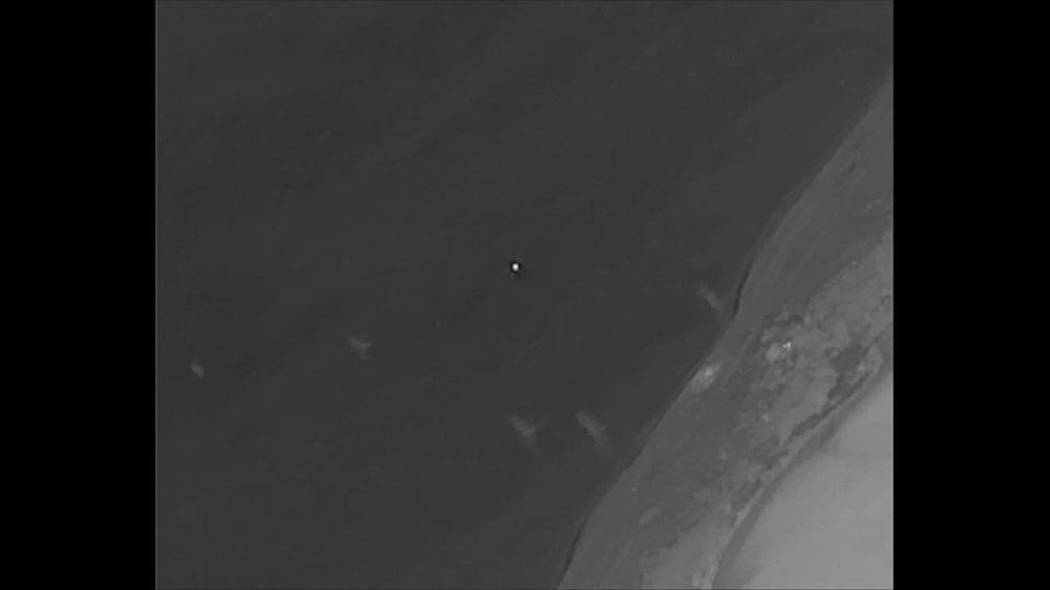 �������� ������: ����� ��������� ��������� �������� ��������� ������� � ������ ����������� ���� � �� ���� ����������� �� ������ ������� ���