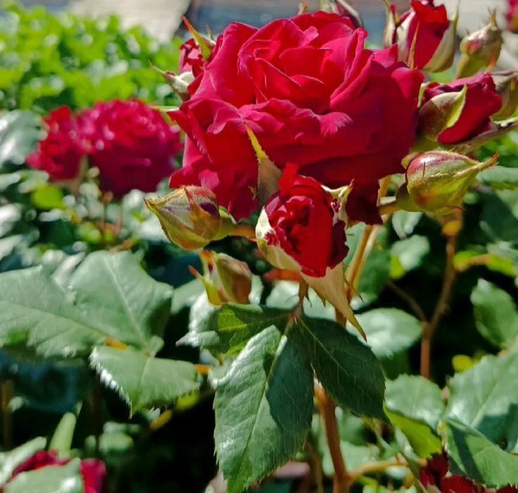 ������� �������: � ���� �������� ���� ����� ����� ������ ����������� ������ ��������� ������� ������ �����