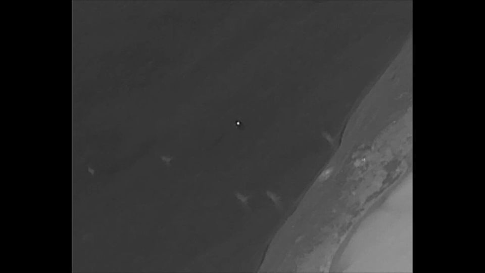 ����� � ����������� ���� �������� ������� �������� ������� �����