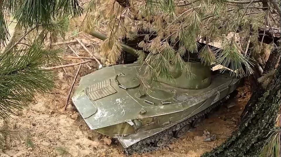 �������������� ������������� ����������� ����������� ���������� ����� ���������� ���� �� ������ ������ ������ � ���������� �������