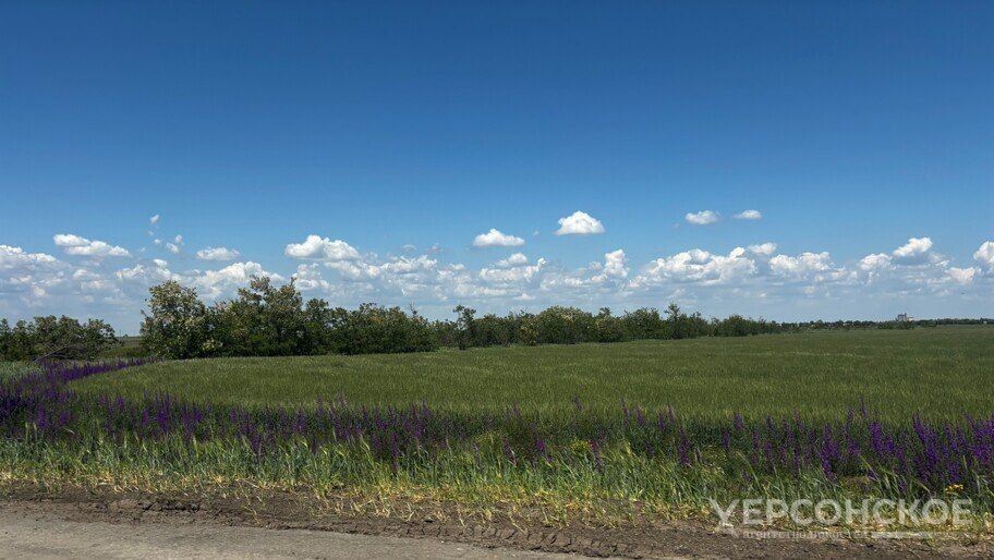Режим ЧС в агропромышленном комплексе введен в 9 районах Херсонской области