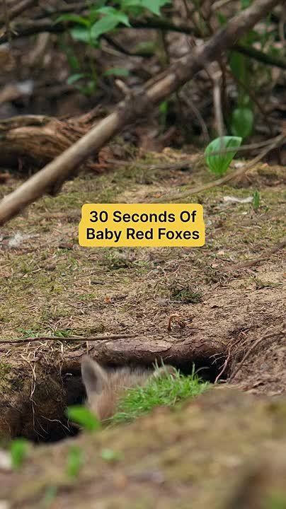 ������� ������ �� ����� ���-�� ����� �������?