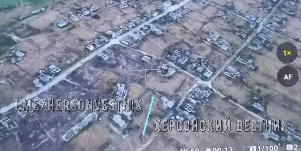 �������������� 49 �� ���������� ������������ ������������ �������������� ���������� ���������� ������� � �.�. ��������