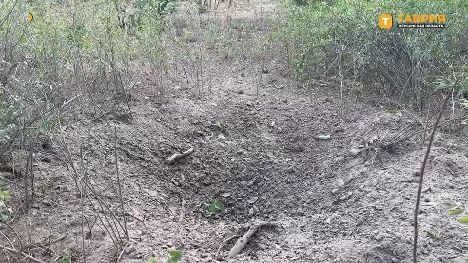 ����� � ������������� �������� ������� �������� �� ������� �������� ���