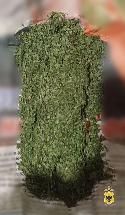 ����������� ������ ������ ��������� � 48-������� ������ ���� �����