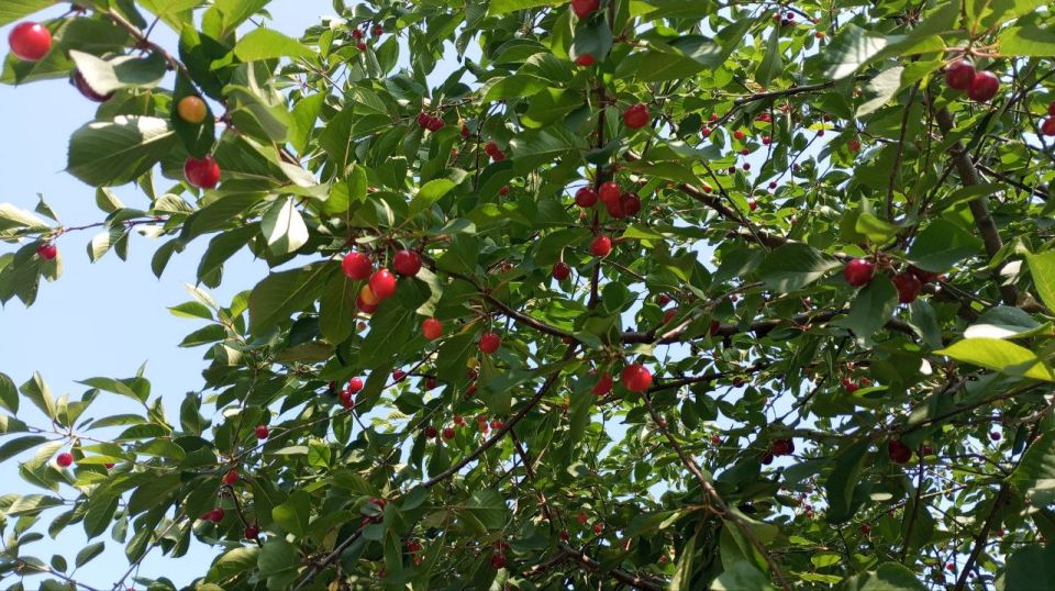 � ������ �����, �����������!