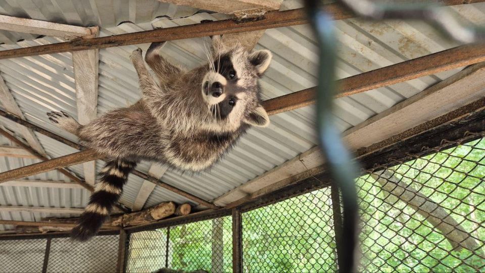 ������� �������� � ���������� ��������-���� ���� ��� ��������