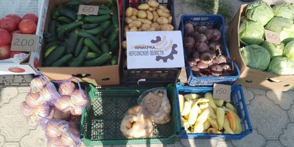 � ���������� ������� ������������ 36 ��������� ����������� ���������� ��������