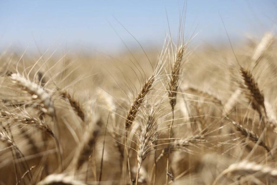 �������� ������: ������� �������� � ������� ������� ������� � ��� ���������� �������