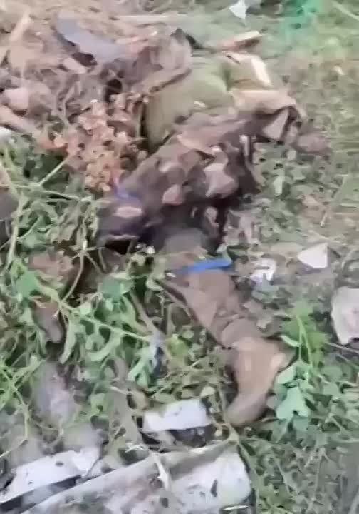 � ������� �������� ������� �����