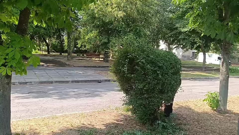 ������ ����, ������ ���������� �������������� ������!