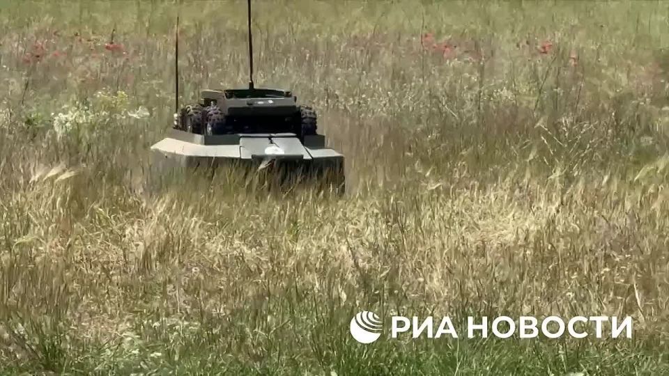 ���� �� �������: ������-��������� � �������� "���" ���������, ��� ���������������� ������������-������������ ���������� ���������� ����������� ����� "�����" ��� �������� ������������ � ��������� �� ���������, ��� ���������...