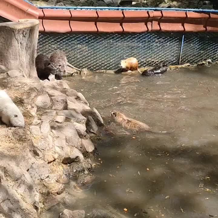 ��������� ���� � ������ ����� �� ����������� ��������-���� �� ����� ���������� �������