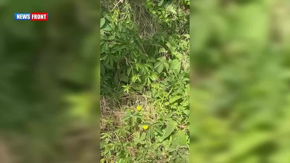 ������ ��� ���������� ������� �� ������� "������ ����������������"