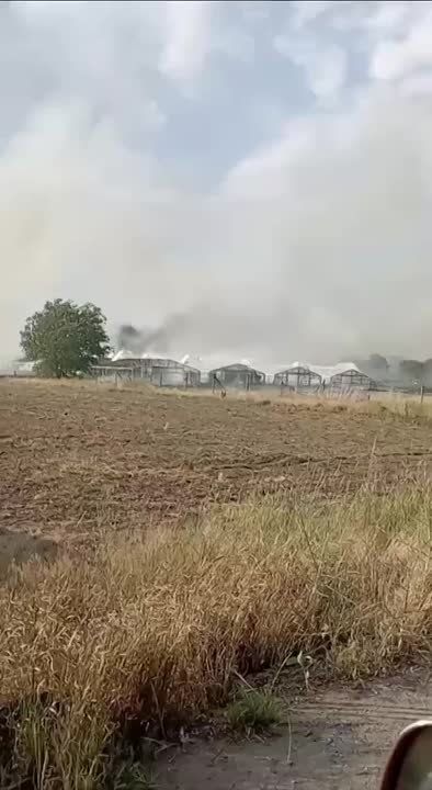 �������� ������: �� �������� �������� ���� ��������� ������� � ������ � ����������� ������